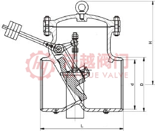 抽氣止回閥結(jié)構(gòu)示意圖