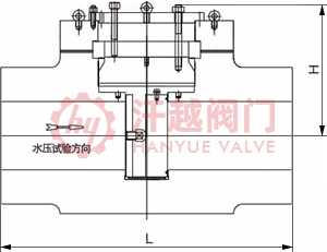 水壓試驗堵閥結構示意圖